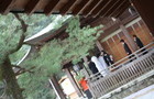 田野賢一　彩乃様